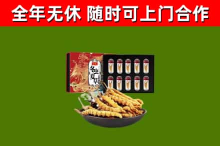 项城烟酒回收冬虫夏草礼盒.jpg